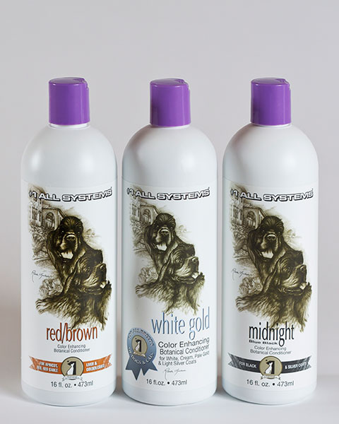 Producto profesional #1 All Systems Color Botanical Conditioner acondicionador potenciador del color para grooming profesional