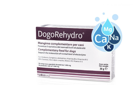 DogoReHydro. Para perros y gatos. Apoyo a la rehidratación y al equilibrio de líquidos