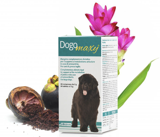 DogoMaxy. Apoyo articular para perros de gran tamaño
