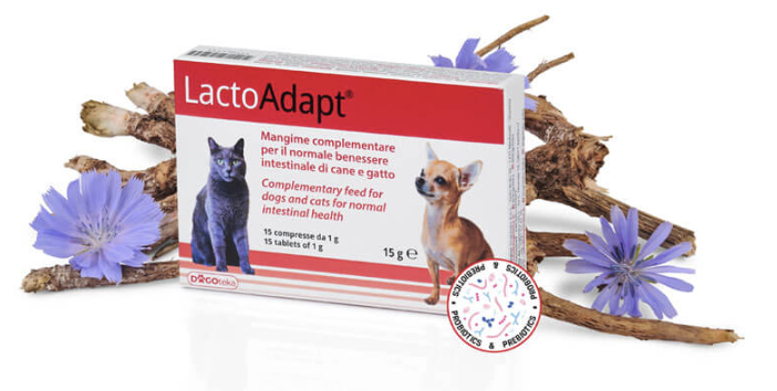 Lactoadapt. Equilibrio intestinal diario para perros y gatos
