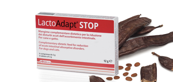 LactoAdapt STOP: Para perros y gatos. Indicado en casos de diarrea y trastornos intestinales