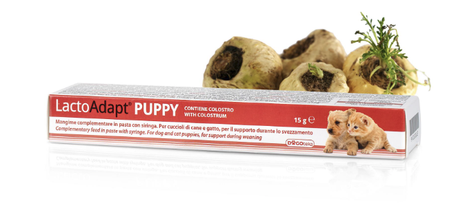LactoAdat Puppy. Ayuda desde el nacimiento hasta el destete.