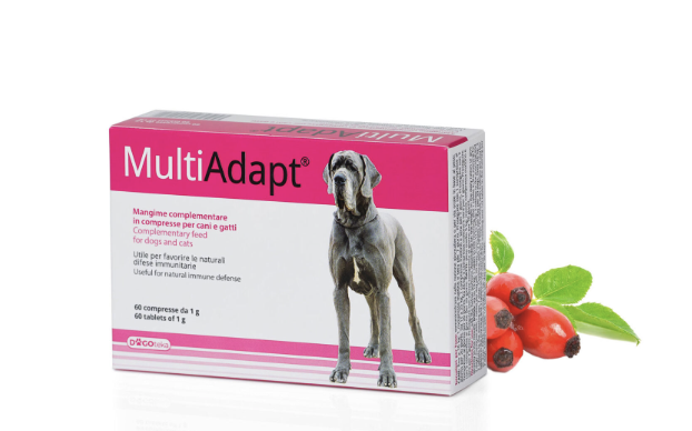 Multiadapt. Defensas naturales y energía cada día